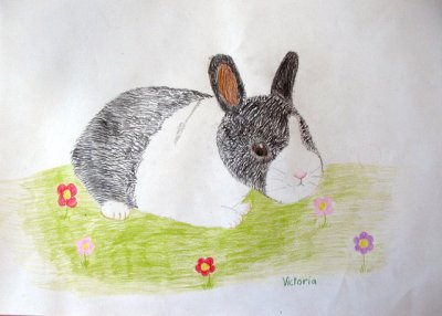 rabbit, Victoria, age:8