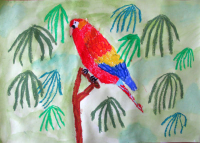 parrot, Vivian, age:6