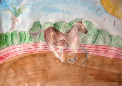 horse, Annie Hu, age:8