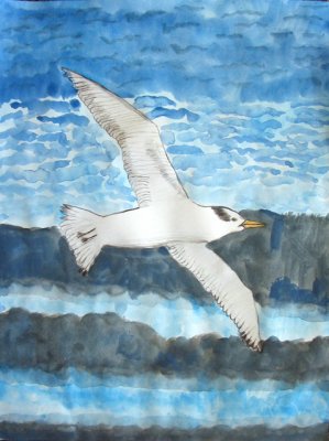 seagull, Elyssa, age:8