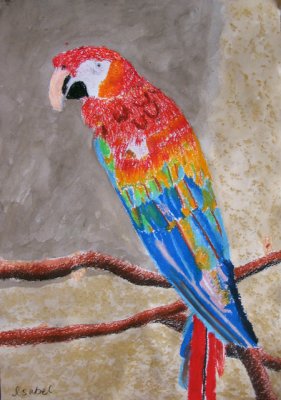 parrot, Isabel, age:9.5