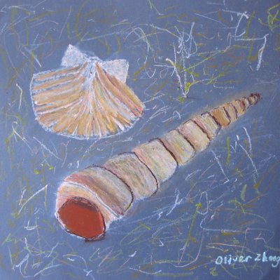 shell, Oliver Zhang, age:8