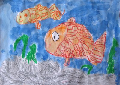 fish, Owen Zhao, age:4.5