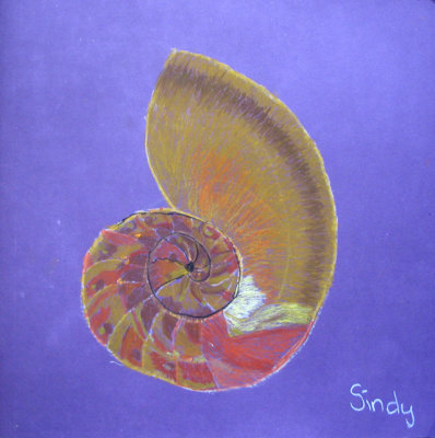 shell, Sindy, age:9