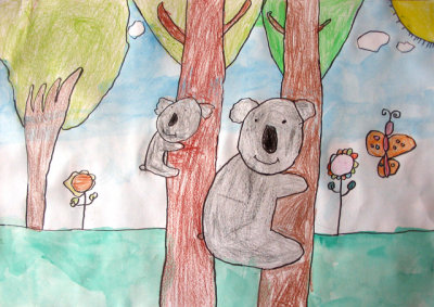 koala, Eva, age:5