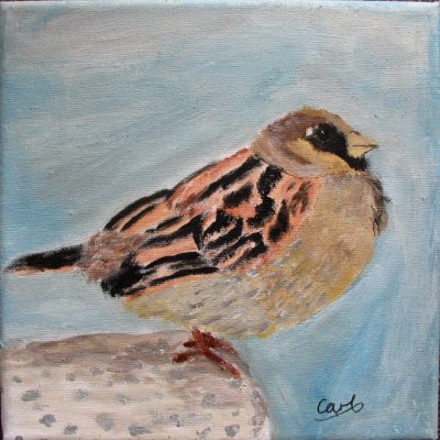 bird, Carl, age:9