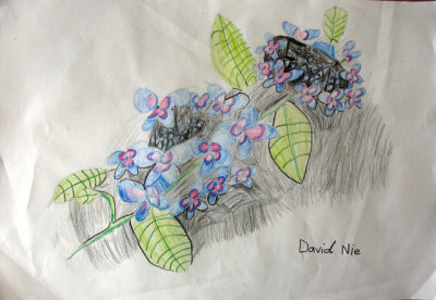 flower, David, age:6