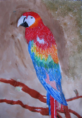 parrot, Isabel, age:10