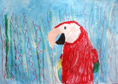 parrot, James, age:5