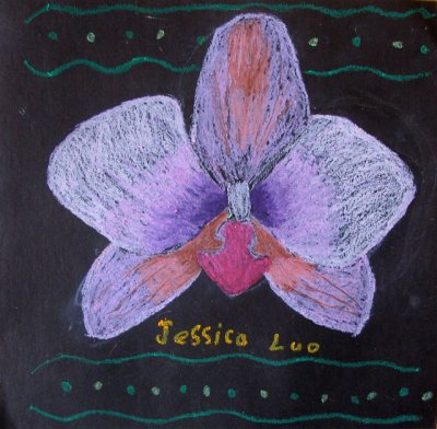 flower, Jessica Luo, age:8.5
