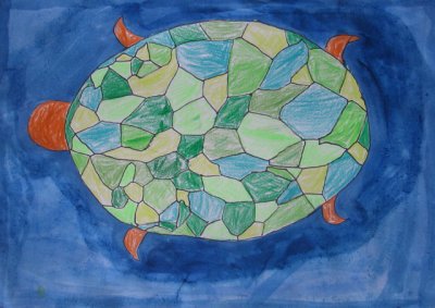turtle, Kevin Deng, age:7