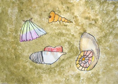 shells, Christina, age:4.5