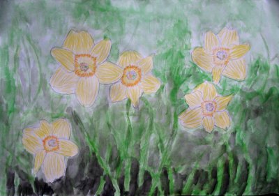 Daffodil, Emma Wang, age:8.5