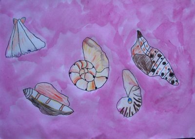 shells, Eva, age:5.5