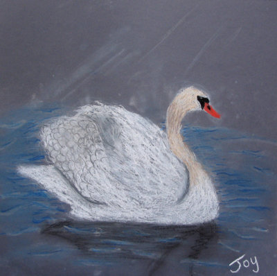 swan, Joy, age:8.5