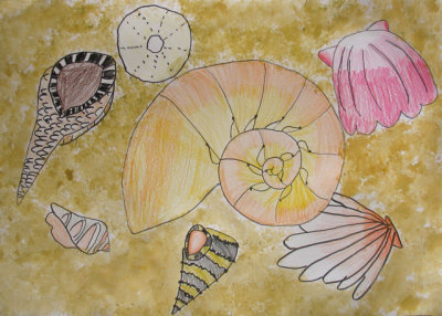 shells, Tracey, age:6.5