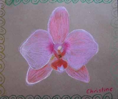Orchid, Christine, age:8.5