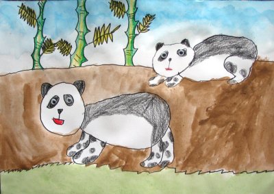 panda, Emily Yin, age:5