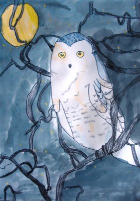 owl, Flora, age:7.5