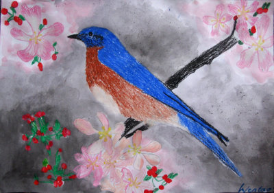 bird, Wentao, age:8