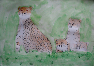 cheetah, Oliver Zhu, age:10