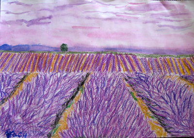 lavendar field, Tracy, age:7