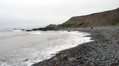 IMG_6563.jpg