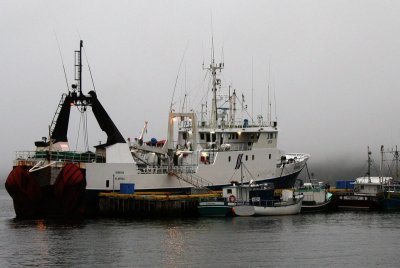 IMG_6989.jpg