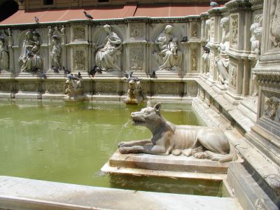 Fountain in Siena Piazza