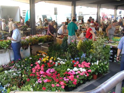 The flower and fruit markets at Sant'Ambrogio, in Florence