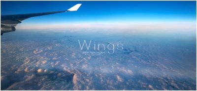 Wings.jpg