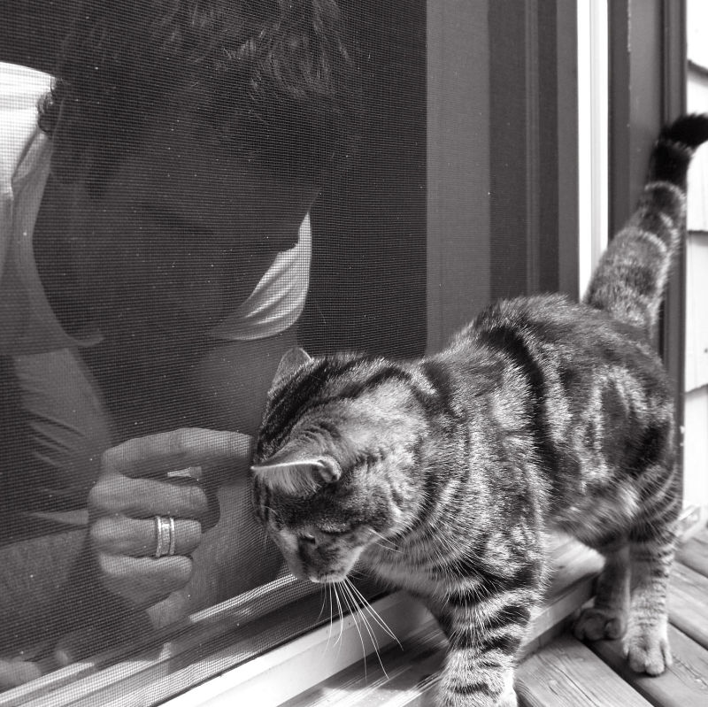 Steve and Finnigan