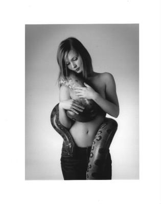 Anaconda