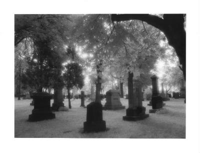 IR Cemetery 2