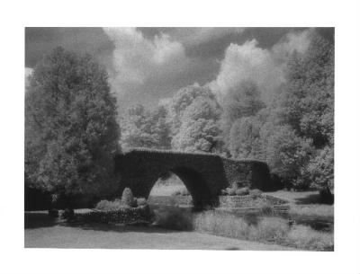 IR Webster's Park 1