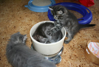 ...giving her a real push into the bowl ;-)
