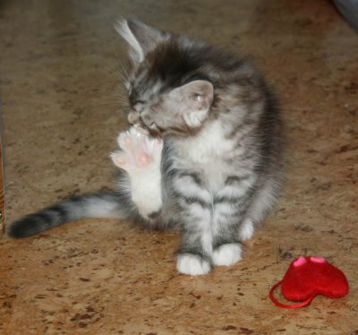 Little lady has big feet