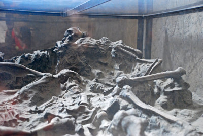 Skeletons found in the ruins preserved forever