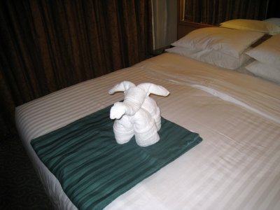 First of a few towelling animals made by our steward