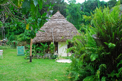 Local housing