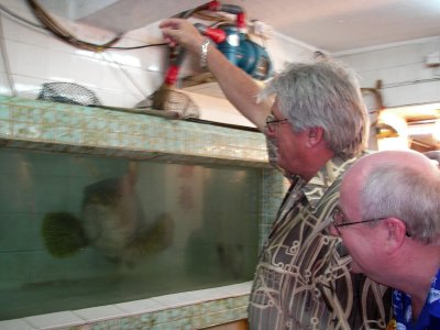 Dave and Ken admiring the fish
