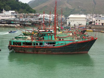 Local fishing boats