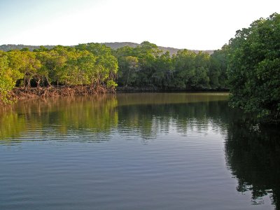 Views of Port Douglas from the boat