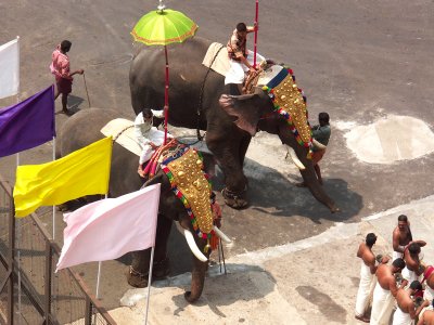 Our welcome in Cochin