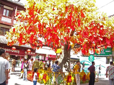 19 Wishing Tree in Shanghi.jpg