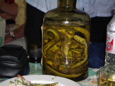 28 The snake wine in a jar.jpg