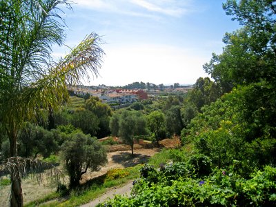 Beautiful views from the house