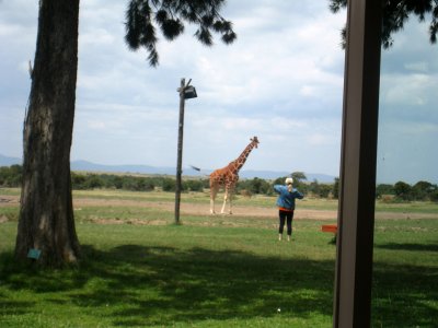 Me taking photos of the giraffe