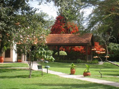 Beautiful garden at Sweetwaters Tented Camp