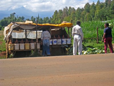 Our guide buying cabbages along the roadside 15 September, 2011